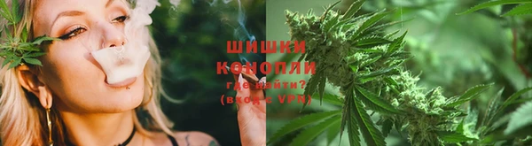 Альфа ПВП Пролетарск